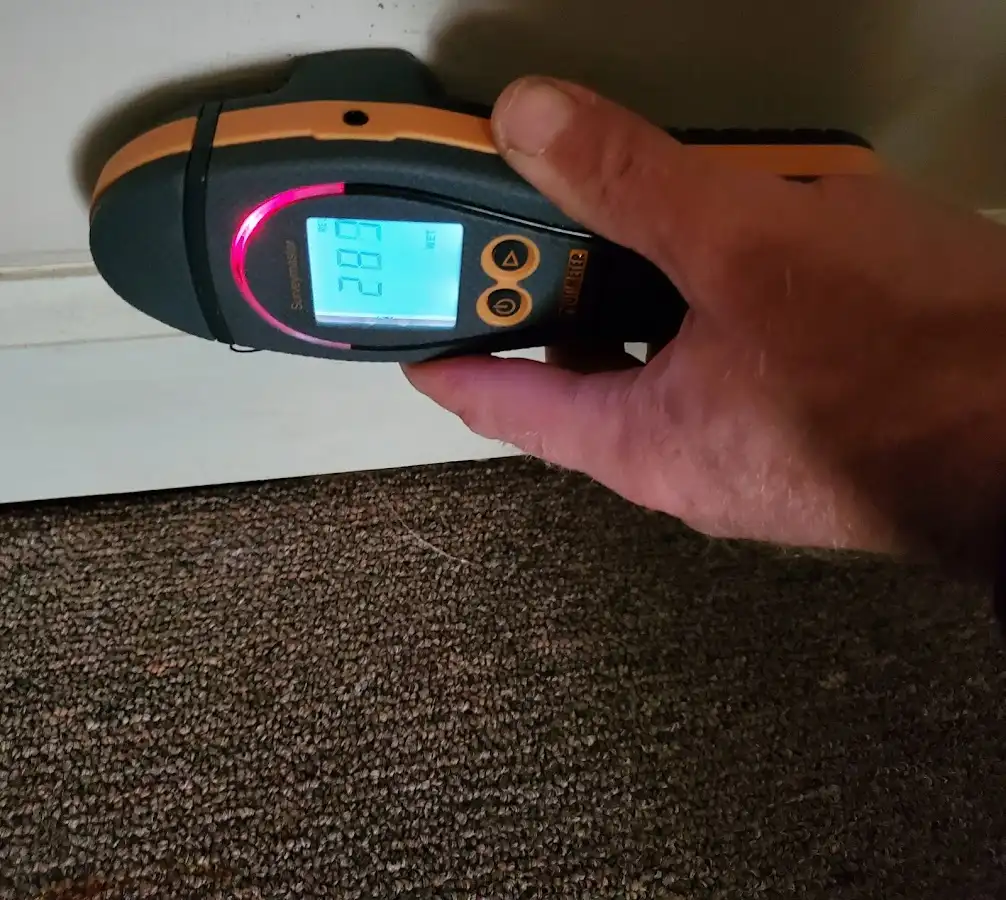 Moisture detection at baseboard during Sewage Cleanup & Sanitation in Sterling